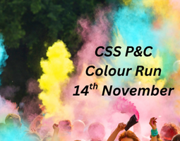 CSS COLOUR RUN 2025