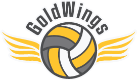 Coorparoo_Netball_Gold_Wings_Logo.png